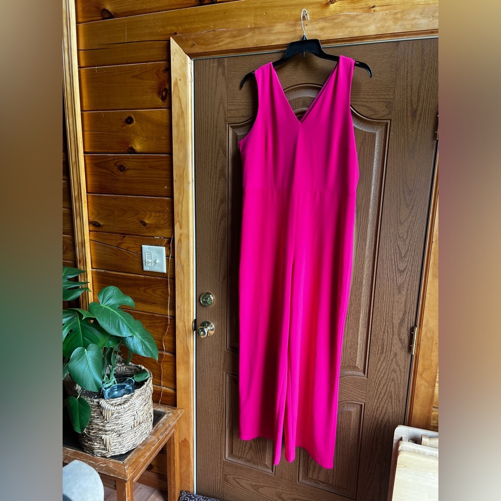 Express pink jumpsuit